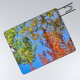 Aspen Color Candy // Green Yellow Red and Orange Fall Leaf Colors Picnic Blanket