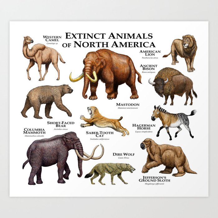 Extinct Animals of North America Art Print by Wildlife Art by Roger Hall |  Society6