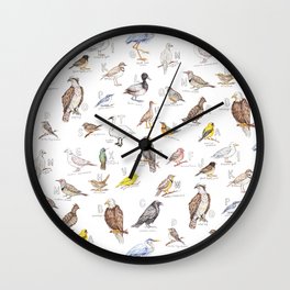 Birds of the Pacific Northwest Wall Clock | Babyroom, Colored Pencil, Pnw, Aviary, Portland, Oregon, Graphite, Birds, Northernflicker, Raven 