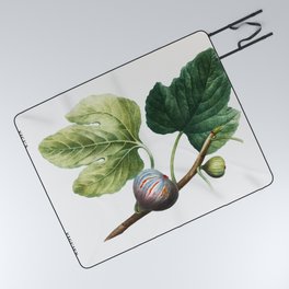 Figs (Ficus)  by Pierre-Joseph Redouté Picnic Blanket
