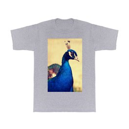 Peacock T Shirt | Depavoreal, Pawie, Pfau, Paons, Paabulinnu, Photo, Fasaaninsininen, Riikinkukko, Mixed Media, Paabulind 