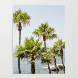 Laguna Beach  Poster