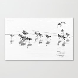 Running with the Tide Canvas Print