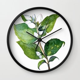 Jasmine Wall Clock | Wallart, Green, Botanical, Ink, Artprints, Painting, Artwork, Watercolor, Jasmine, Art 