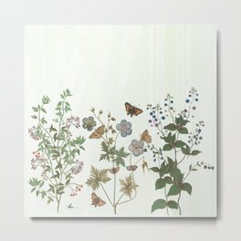 The fragility of living - botanical illustration Metal Print | Ecology, Curated, Vintage, Boho, Botanical, Floral, Nature, Flora, Butterflies, Wildlife 