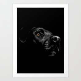Dog Head4495048 Art Print