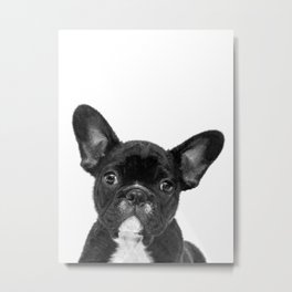 Black and White French Bulldog Metal Print | Watercolor, Doggie, Frenchbulldog, Peekaboo, Portrait, Pet, Puppy, Bulldog, Illustration, Pup 