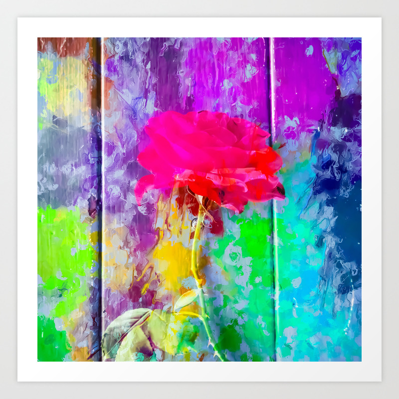 Red Rose With Pink Purple Blue Green Yellow Painting Abstract