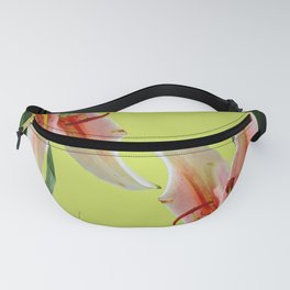 Colourful Lilies Fanny Pack