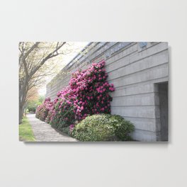 Flower Wall, Edmonds, WA Metal Print | Color, Urban, Flowers, Washington, Edmonds, Street, Digital, Photo, Nature 