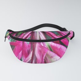 # 424 Fanny Pack