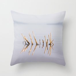 Sunny Twigs Throw Pillow