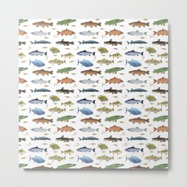 Fish and Baits Metal Print | Wildanimal, Spinning, Various, Angler, Sea, Wildlife, Fishing, Angling, Nature, Fish 