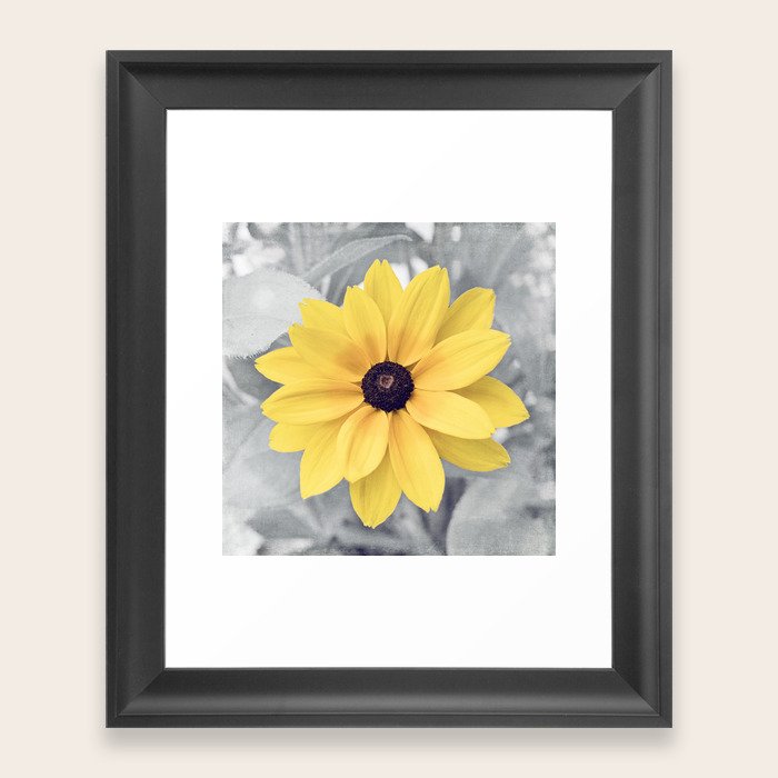 Yellow Grey Flower Photography, Yellow Gray Nature Floral Photography Framed Art Print by