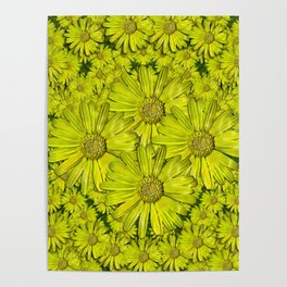 Paradise flowers in a peaceful yellow environment of calm emotions Poster