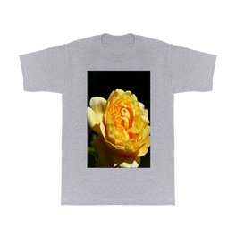 Golden Girl T Shirt | Macro, Wallart, Flower, Yellowrose, Christianeschulze, Homedecor, Rose, Color, Rosemarco, Photo 