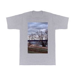 Dramatic River Sound T Shirt | Water, Trees, Meditation, River, Travel, Blue, Plants, Brown, Color, Clouds 