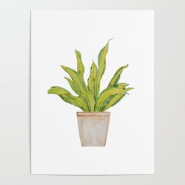 green indoor plant  in pot watercolor  and ink 1 Poster