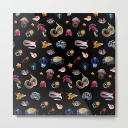 Deep Sea Creatures - Frogfish, Murray Eel, Worm Metal Print | Pattern, Digital, Worm, Starfish, Graphicdesign, Creatures, Fish, Octopus, Nautilus, Ocean 