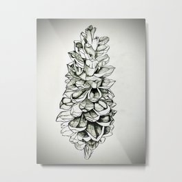 Sugar Pine Cone Metal Print | Graphite, Christinahale, Criiez, Pinecone, Drawing 