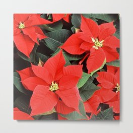 Beautiful Red Poinsettia Christmas Flowers Metal Print | Poinsettia, Poinsettiaday, Floral, Redleaves, Red, Mexicanplant, Holiday, Winter, Christmasplant, Colorful 