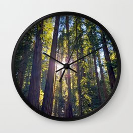 Jedediah Redwoods, CA Wall Clock | Lightthroughtrees, Curated, Tree, Nature, Light, Jedediah, Forest, Beautiful, Park, Redwoodforest 