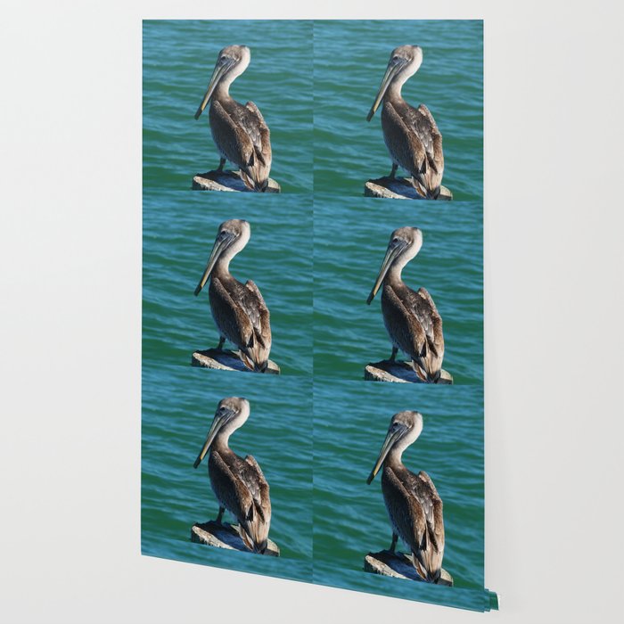 Pelican On A Pole Wallpaper By Christianeschulze Society6