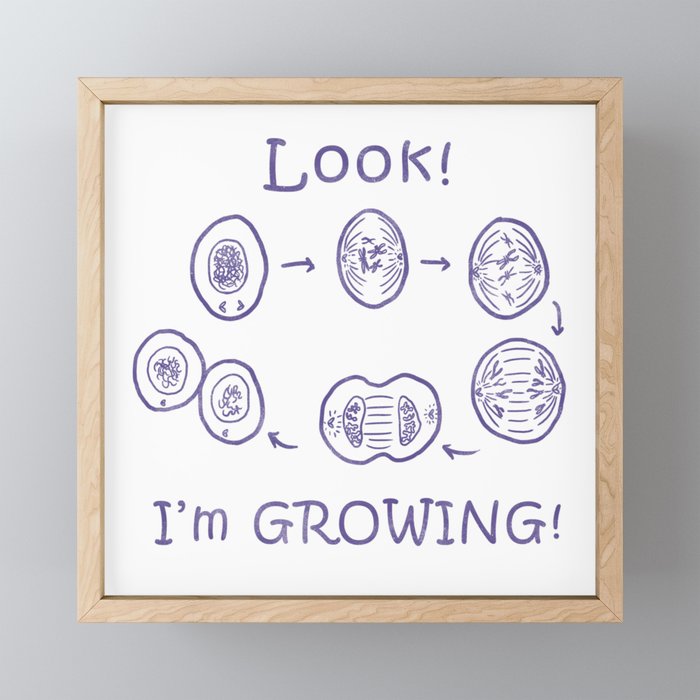 Funny Biology Memes Teacher Student Bacteria Gift Framed Mini Art
