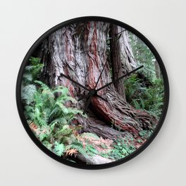Giant Redwoods Rainforest 06 Wall Clock | Redwoods, Photograph, Trees, Nature, Jedediahsmithstatepark, Scenery, Forest, Californiacoast, Landscape, Photo 
