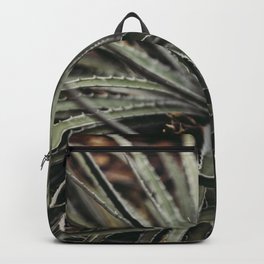 Aloe Backpack | Green, Succulent, Plants, Blackthumb, Leaves, Photo, Vsco, Texture, Vscofilm, Nature 