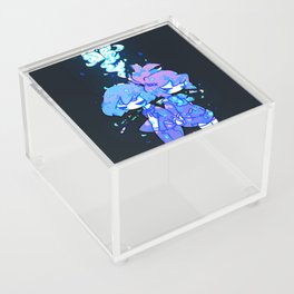 Crystallize  Acrylic Box