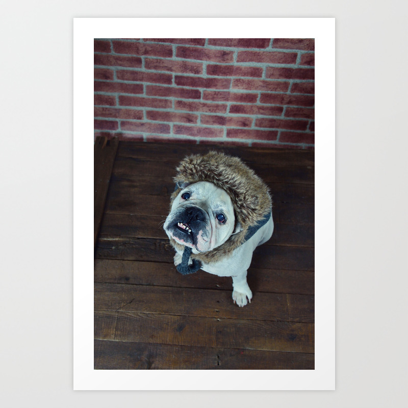 Portrait Of Old French Bulldog With A Winter Hat Art Print By Designastur Society6