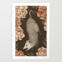 The Opossum and Peonies Kunstdrucke | Graphite, Nature, Opossum, Illustration, Roses, Botanical, Digital, Possum, Drawing, Curated 
