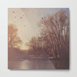 Birds take flight over lake on a winters morning. Metal Print | Digital, Landsapce, Winter, Trees, Photo, Lake, Rural, Englishlake, Color, Birds 