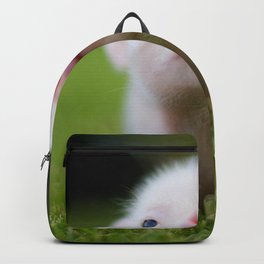 Little Pig Backpack | Drawing, Little, Double Exposure, Collage, Nature, Beautiful, Small, Paint, Cute, Comforter 
