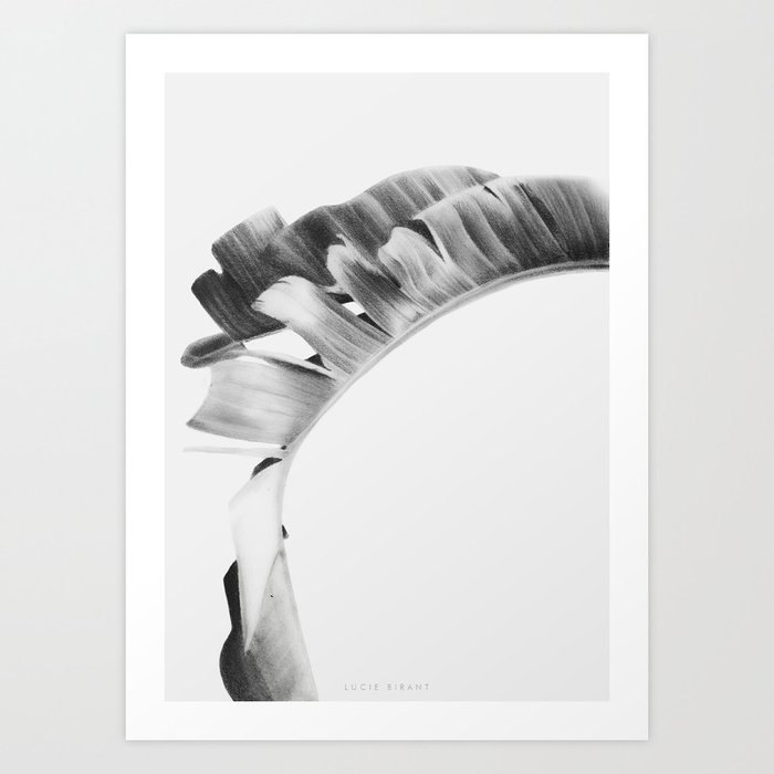 TROPIC Kunstdrucke | Abstrakt, Black-white, Illustration, Natur