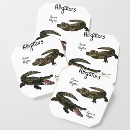 Alligators Coaster