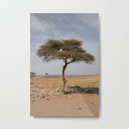 Lonely tree – Travel Photography Morocco Metal Print | Digital, Dunes, Standalone, Photo, Travelphotography, Morocco, Tree, Desert, Nature, Film 