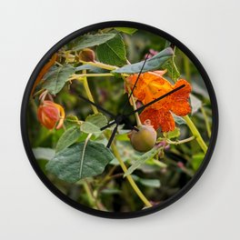 Orange Jewelweed Wall Clock | Jewelweed, Photo, Flower, Weed, Digital, Orange, Color 