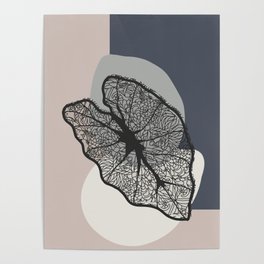 Fossil Find Lacey Leaf Poster
