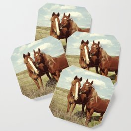 Horse Affection Coaster