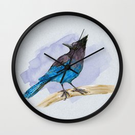   Steller's jay watercolor Wall Clock | Crow, Jay, Painting, Animal, Watercolor, Crest, Blue, Pretty, Wings, Bird 