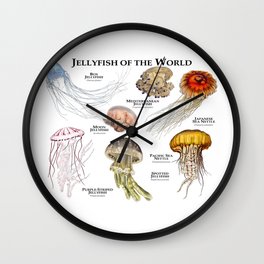 Jellyfish of the World Wall Clock
