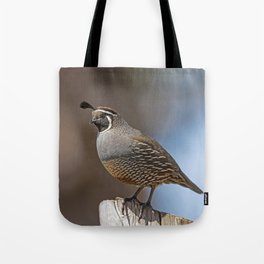 Male California Quail (Callipepla Californica) stands on a fence post near Point Reyes California. Tote Bag