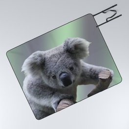 Koala Bear Picnic Blanket