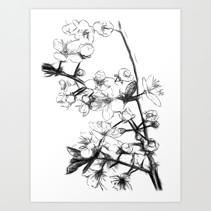 Cherry Blossoms Minimal Drawing Art Print By Alemi Society6