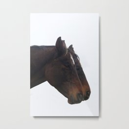 Twin Horses Photography Print Metal Print | Horseprint, Photo, Horses, Equinephotography, Orphanacres, Animalphoto, Color, Horsephotography, Digital, Animal 