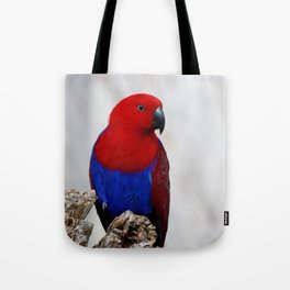 Eclectus Parrot Tote Bag