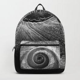 Black and White moon Snail shell Backpack | Digital, Wildlife, Shell, B W, Beach, Animal, Ocean, Black And White, Photo, Spiral 
