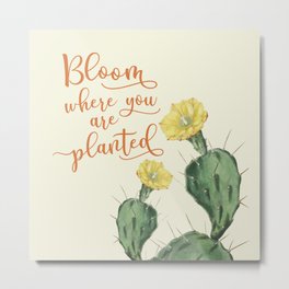 Bloom Where you are Planted Cactus Metal Print